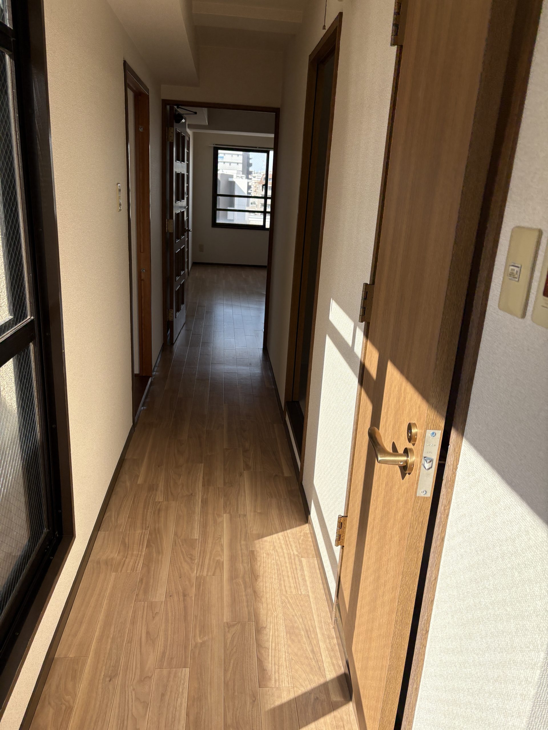 太陽の光が差し込む廊下です